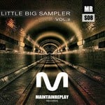 cover: Kaelo|Kere K Beats Dancygier|Puff Dogs|Roy Emm|Simon Ricci - Little Big Sampler Vol 8