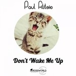 cover: Paul Klitsie - Dont Wake Me Up