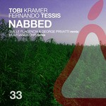 cover: Fernando Tessis|Kramer, Tobi - Nabbed