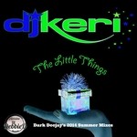 cover: Dj Keri - The Little Things