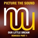 cover: Picture The Sound - Our Little Dream Part 1 (remixes)