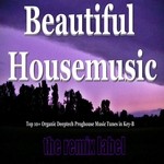 cover: Various - Beautiful Housemusic (Vibrant Deephouse Sounds Meets Christmas Proghouse Music Tunes Compilation In Key B Plus The Paduraru Megamix)