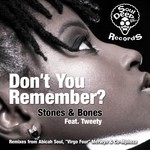 cover: Stones & Bones|Tweety - Don't You Remember (remixes)