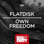 cover: Flatdisk - Own Freedom