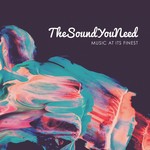 cover: Various - TheSoundYouNeed Vol 1