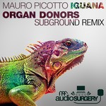 cover: Mauro Picotto - Iguana