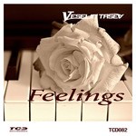 cover: Veselin Tasev - Feelings