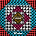 cover: Derek Howell - One Way