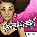 cover: Various - Quantize Quintessentials Volume 1