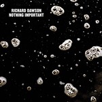 cover: Richard Dawson - Nothing Important