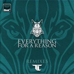 cover: Tc - Everything For A Reason (remixes)