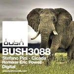 cover: Stefano Pini - Cicada