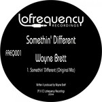 cover: Wayne Brett - Somethin' Different