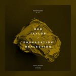 cover: Dub Taylor - Propagation Reflection