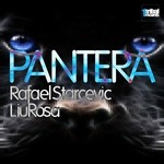 cover: Liurosa|Starcevic, Rafael - Pantera