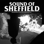 cover: The Black Dog - Sound Of Sheffield Vol 4