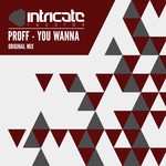 cover: Proff - You Wanna