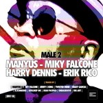 cover: Erik Rico|Harry Dennis|Jerry C King|Manyus|Miky Falcone|R Schneider|Rik Art|Souldeep Inc|Twisted Mind - Male Vol 2