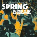 cover: Various - Spring Break 2015 (Best Of Electronic Clubsound & House)