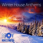 cover: Various - Winter House Anthems