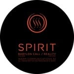 cover: Spirit - Reality/Babylon Call