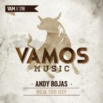 cover: Andy Rojas - Break Your Body