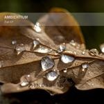 cover: Ambientium - Fall EP (album version)