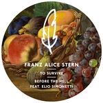 cover: Franz Alice Stern - To Survive