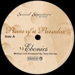 cover: Theo Parrish - Pieces Of A Paradox