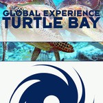 cover: Global Experience - Turtle Bay