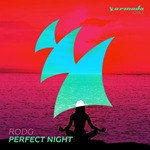 cover: Rodg - Perfect Night