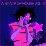 cover: Various - A State Of House Vol 11