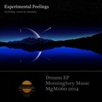 cover: Experimental Feelings - Dreams