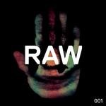 cover: Kaiserdisco - Raw 001