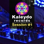 cover: Raider, Alex|Various - Kaleydo Records Session #1