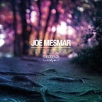 cover: Joe Mesmar - In The Zone