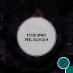 cover: Todd Smus - Feel So High