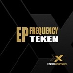 cover: Teken - Frequency