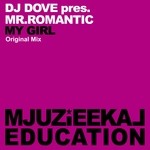 cover: Dj Dove|Mr Romantic - My Girl