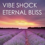 cover: Vibe Shock - Eternal Bliss