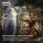 cover: Echidna|Nothing To Lose - You Know What/Downpour