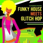 cover: Various - Funky House Meets Glitch Hop Vol 1