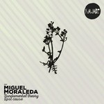 cover: Miguel Moraleda - Fundamenthal Theory/Lost Cause