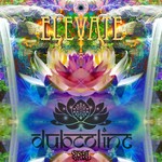 cover: Dubcoling - Elevate