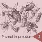 cover: ###|&&&|Angelo Draetta|Fugitive Sense|Kwikfiks|Silvestro S - Prismat Impression 2