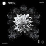 cover: Induction - Astrum