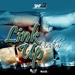 cover: Simply Natural Family|BLACKSTARR|TERRI LYONS|SKINNY BANTON - Link Up Riddim