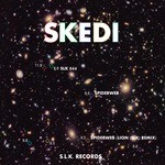 cover: Skedi - Spiderweb