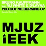 cover: Kauffmann, Bruno|Mj White|D'layna - You Got Me Burning Up (Classic Disco mix)