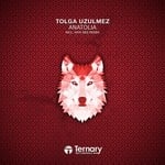 cover: Tolga Uzulmez - Anatolia